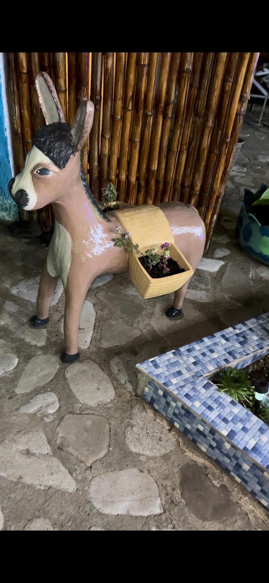 סינגאני Guest House Iura מראה חיצוני תמונה